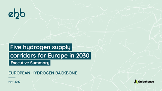 加速脱碳 -欧盟氢气主干网（EHB）-推出2030年五大氢气供应走廊