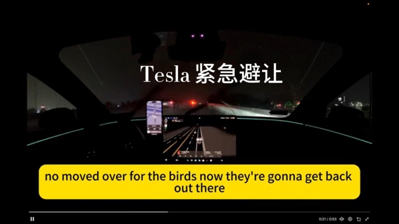 自动驾驶中的Tesla 紧急避让